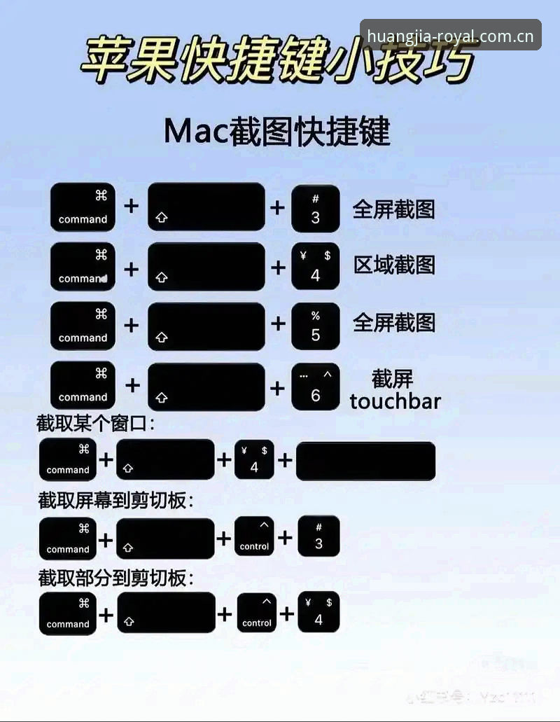 Royal casino必备 皇家国际平台完整使用指南:从新手到老玩家的必备攻略