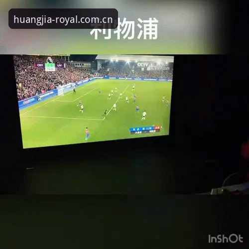 Royal casino功能详解：皇家国际平台深度评测与新手体验报告