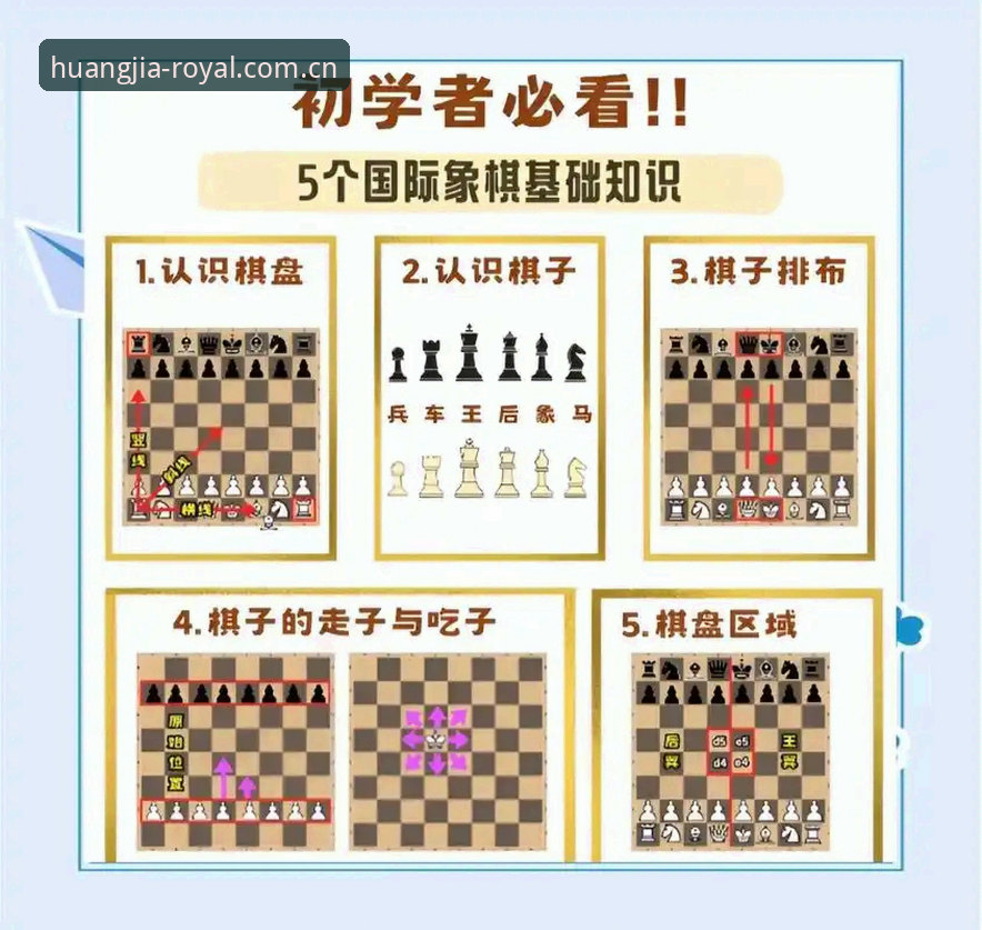 皇家国际免费下载常见问题深度分析与新手实操指南